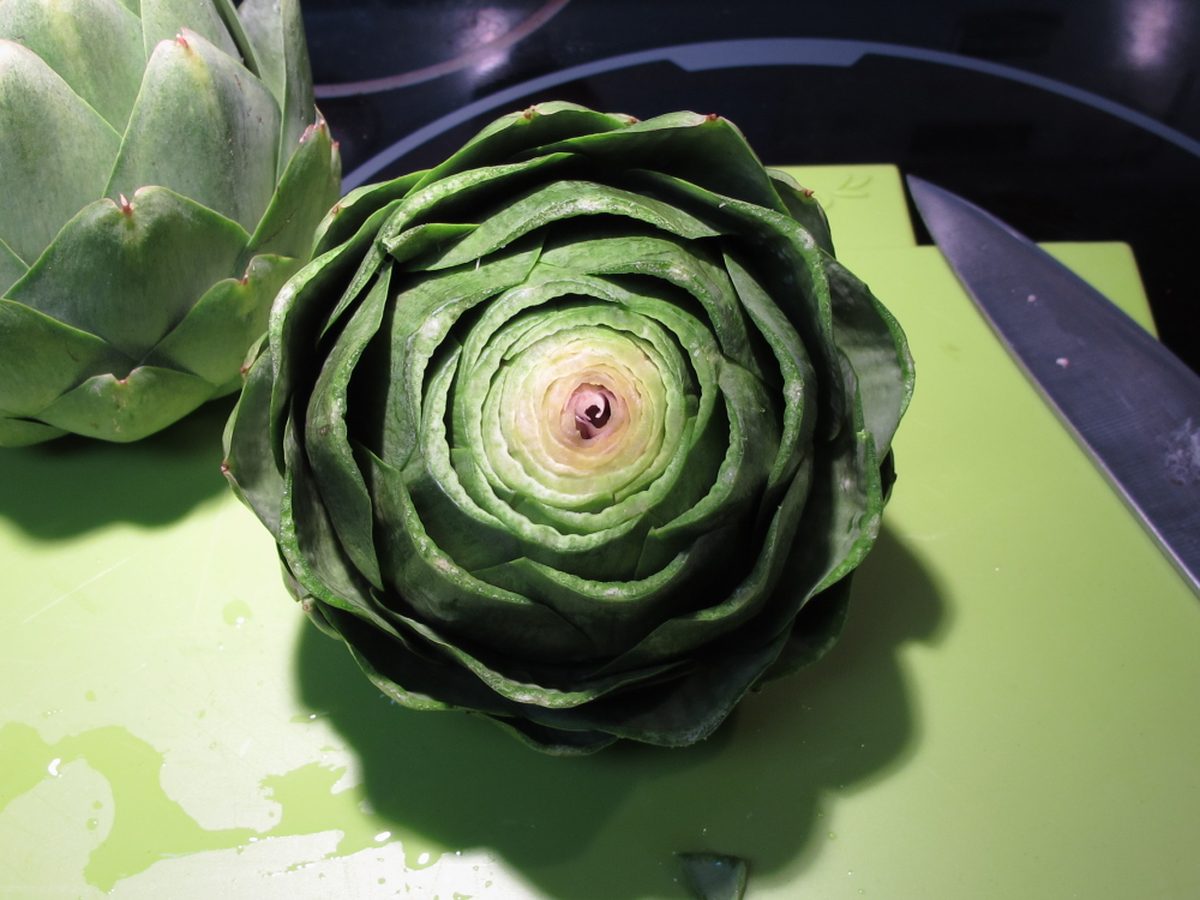 Alcachofa