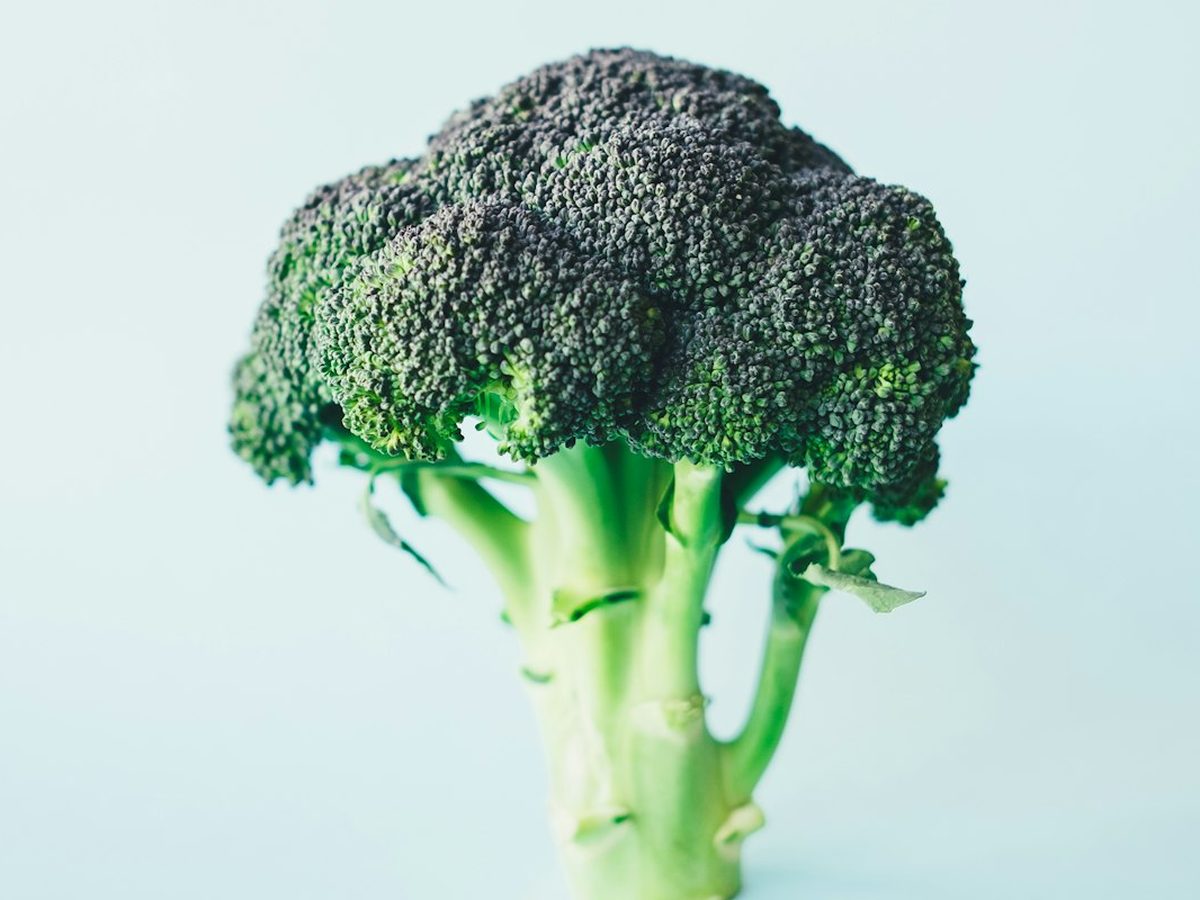 Brócoli