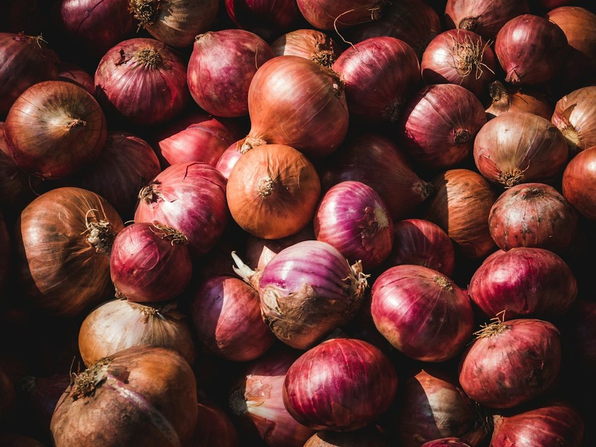 Cebolla
