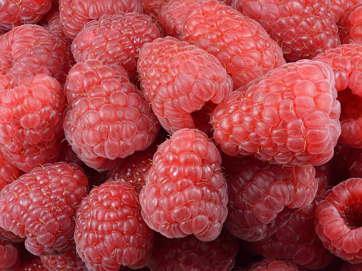 Frambuesa