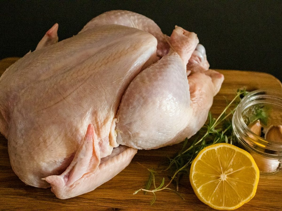 Pollo